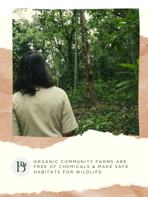 Organic Community Farms